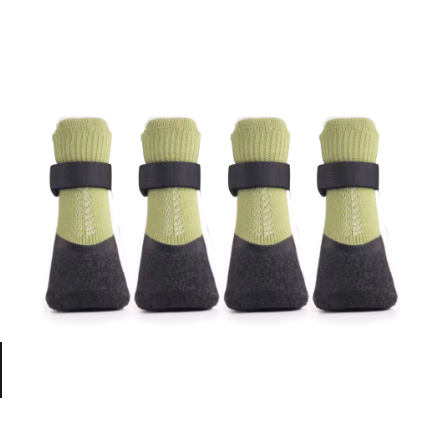 Chaussure chien | PawShield