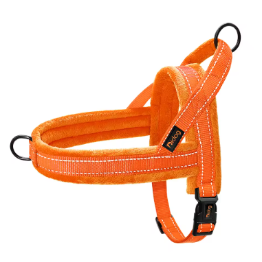 Harnais pour chien | CozyWalk™