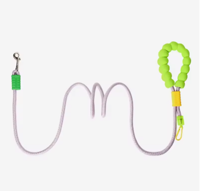 Laisse pour Chien | Smooth Walk