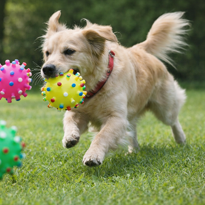 balle pour chien picots exterieur