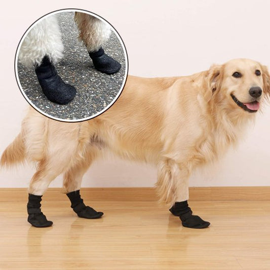 Chaussure chien antiderapante