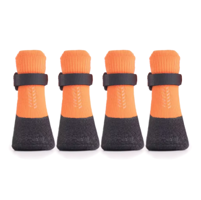 Chaussure chien | PawShield