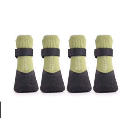 Chaussure chien | PawShield