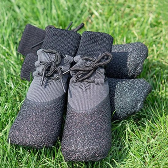 Chaussure pour Chien balade sereine
