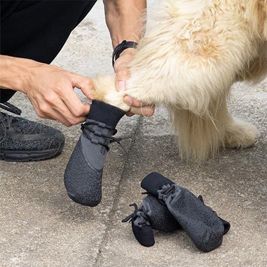 Chaussure pour Chien facile a mettre