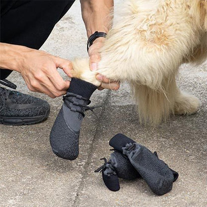 Chaussure pour Chien facile a mettre