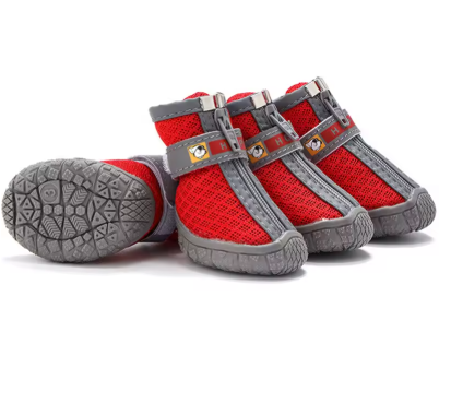 Chaussures pour chien | AllTerrain Paw