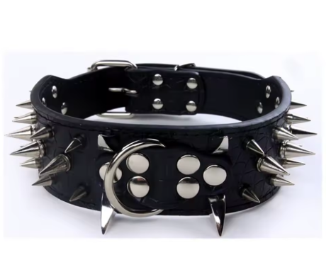 Collier chien cuir | Velvet Rebel
