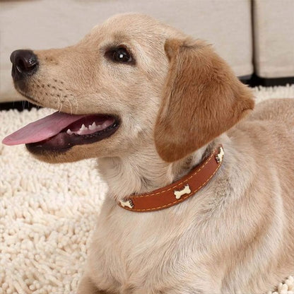Collier chien cuir brun
