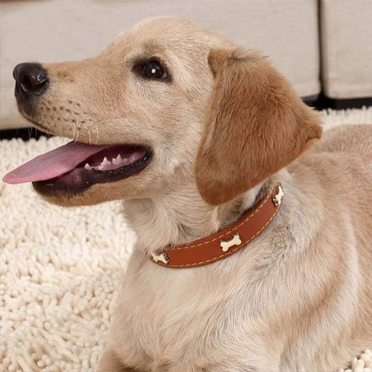 Collier chien cuir brun