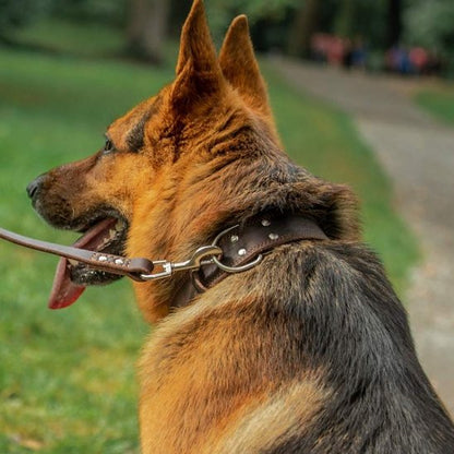 Collier chien cuir esthetique marron