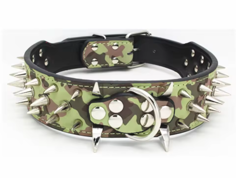 Collier chien cuir | Velvet Rebel
