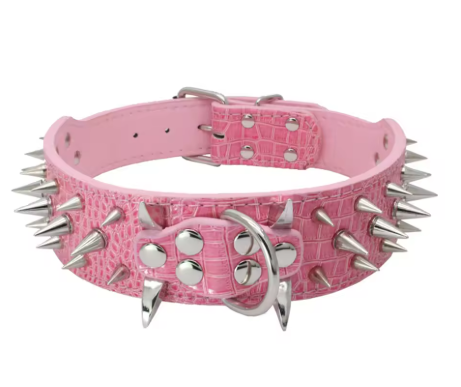 Collier chien cuir | Velvet Rebel