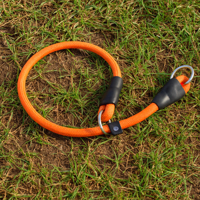 Collier Chien | Dynamic Rope