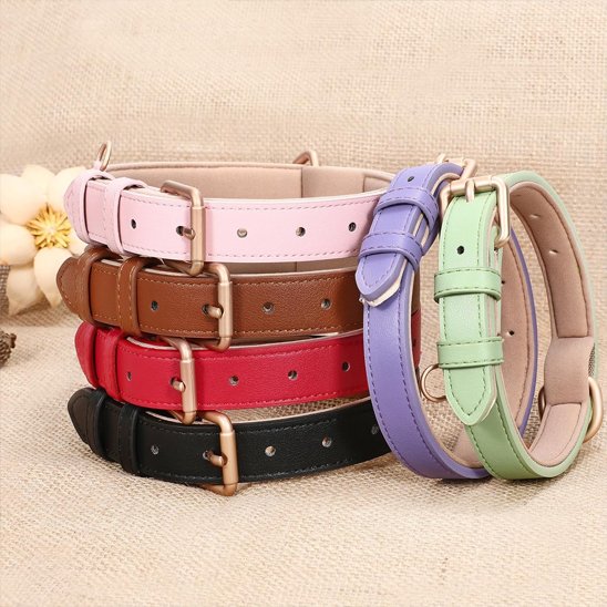 Collier chien plusieur couleur