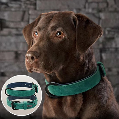 Collier en cuir pour chien 