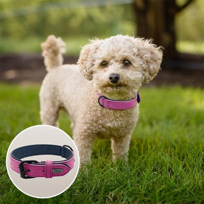 Collier en cuir pour chien 