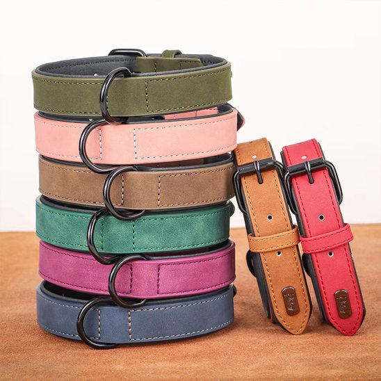 Collier en cuir pour chien 