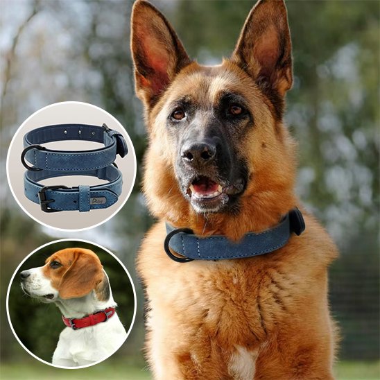 Collier en cuir pour chien 