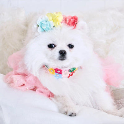 collier pour chien fleuries