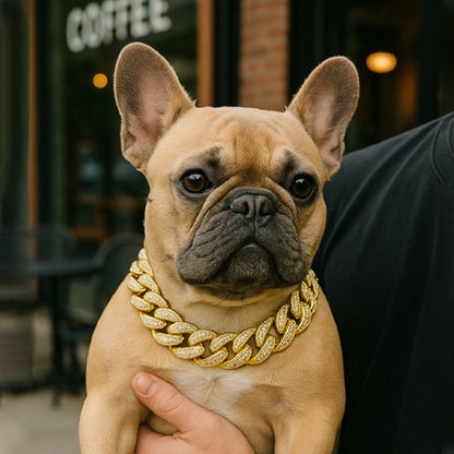 Collier pour chien or strass