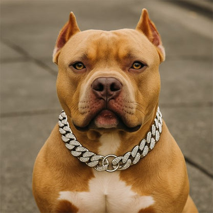 Collier pour chien star
