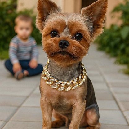 Collier pour chien strass