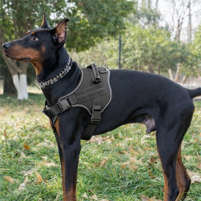 Harnais chien noir
