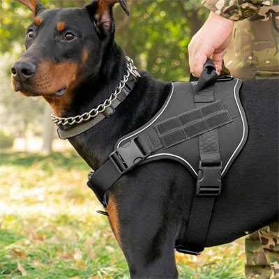 Harnais chien pour des balades confortable