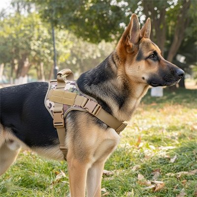 Harnais chien solide