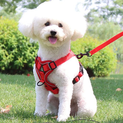 Harnais pour chien rouge avec laisse