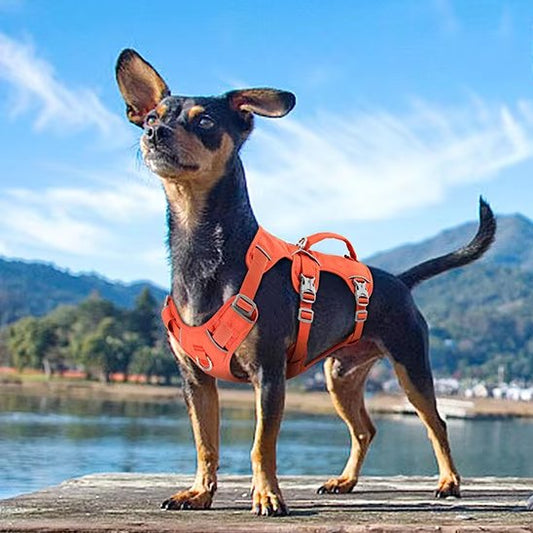 Harnais pour chien rouge confort