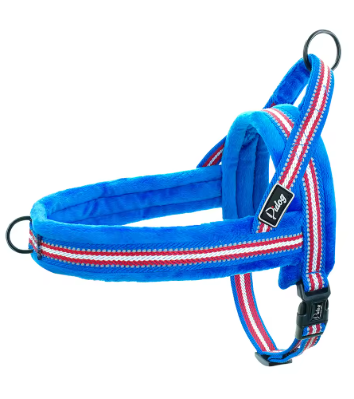harnais pour chien | SoftMotion™