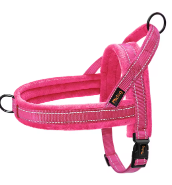 Harnais pour chien | CozyWalk™