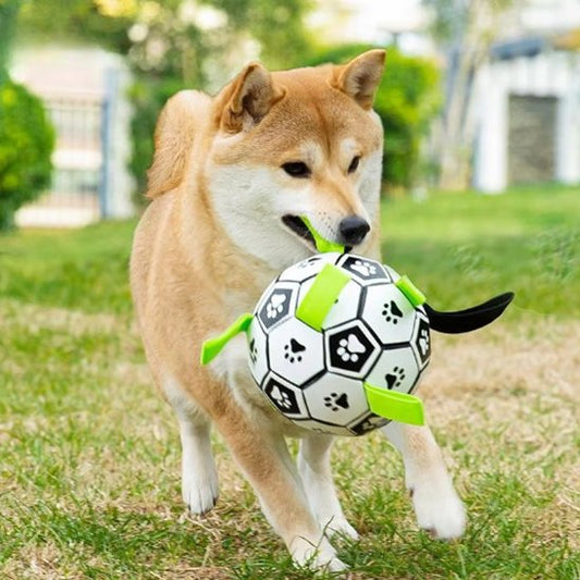 Jouet chien balle exterieur