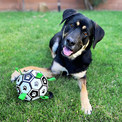 Jouet chien ballon exterieur