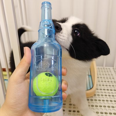 Jouet Chien bouteille balle