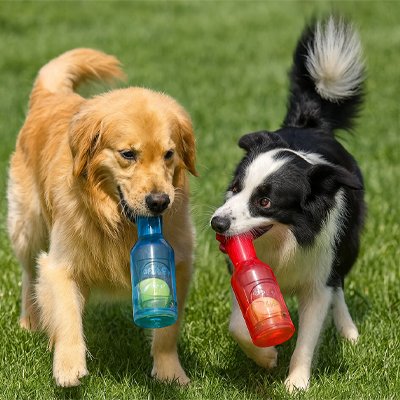 Jouet Chien bouteille exterieur