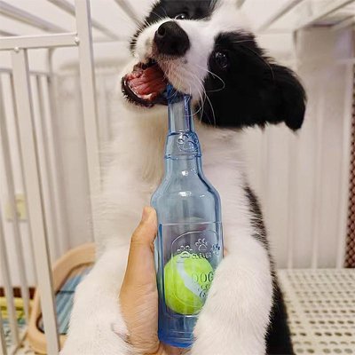Jouet Chien bouteille jeu