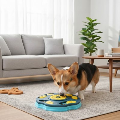 jouet chien nteractif anti-ennuie