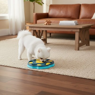 Jouet chien pour toute taille 