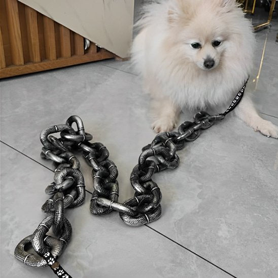 Laisse chien mailles fantaisie 
