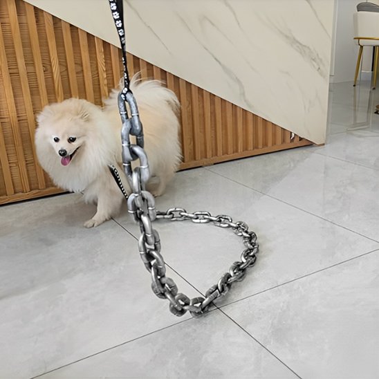 Laisse chien maillons fantaisie