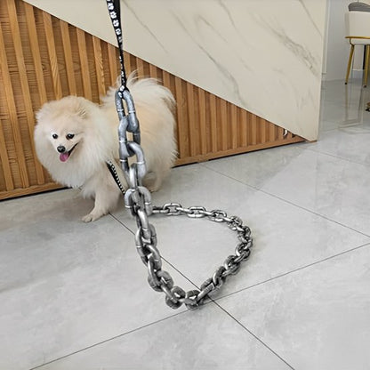 Laisse chien maillons fantaisie