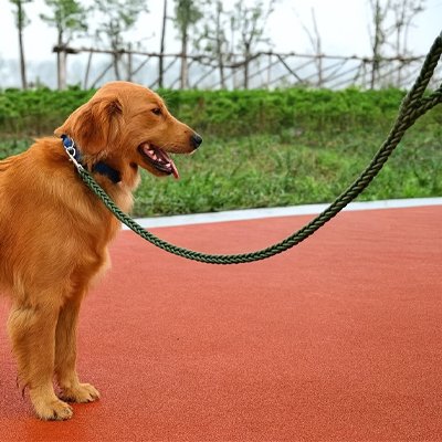 Laisse pour Chien agreable en balade