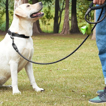 Laisse pour chien balade au parc noir
