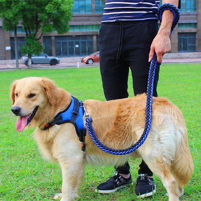 Laisse pour Chien balade pieds