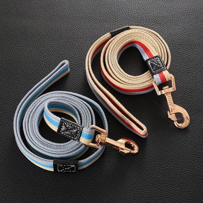 Laisse pour Chien bi couleur
