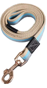 Laisse pour Chien | Iconic Paw