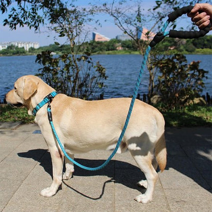 Laisse pour chien confort de balade